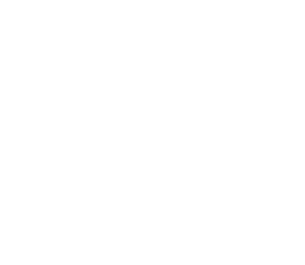 Pearl Health Logo - White